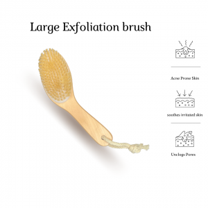 Bare Dry Exfoliating Large Brush
